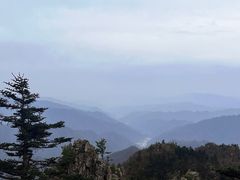 -牛背梁国家森林公园