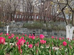 -四道口水产市场