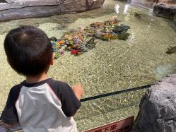 -Zoolung Zoolung动物主题公园(海信广场店)