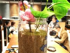 -呷哺呷哺 黄金牧场 (回龙观港龙店)