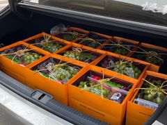 -仲雅水果大卖场(仲雅苑店)