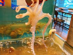 -烧货·活海鲜炭烧(湖滨商业街店)