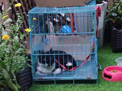 -艾加柒克蛋糕茶歇甜品台(春熙路店)