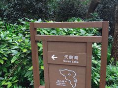 -西郊宾馆-地面停车场