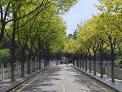 -北宫国家森林公园