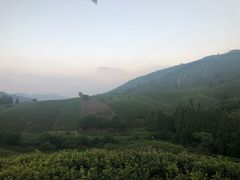 -帐篷客·溪龙茶谷度假酒店