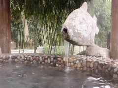 -金孔雀温泉旅游度假村