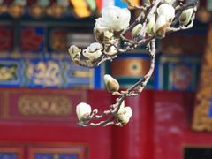 -西安市广仁寺