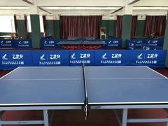 -梦想者乒乓球少儿运动中心(红桥店)