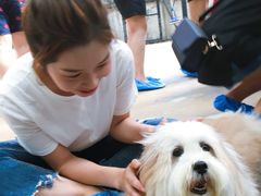 -TrueLove @ Neverland (Husky Cafe)