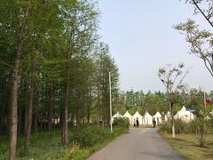 -上海长兴岛郊野公园