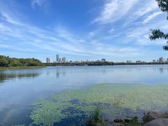 -长春市南湖公园