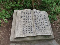 -茅兰沟国家森林公园