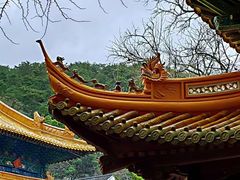 -普陀山风景区-佛顶山