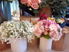 -蜜桃花开·中西融合菜E&W(南长街店)