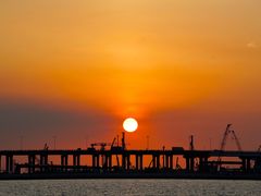 -宝安西湾红树林湿地公园