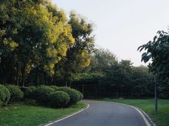-西安浐灞国家湿地公园
