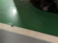 -巢爷老味(东方红店)