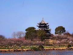 -上海海湾国家森林公园