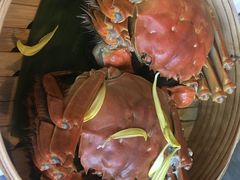 公大闸蟹-蟹榭·本帮江浙菜·蟹宴(五角场合生汇商场店)