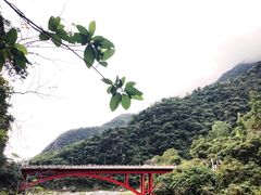 -太鲁阁公园