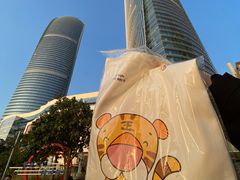 -演武大桥观景平台