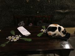 -Paak Dang Riverside 红嘴河畔餐厅