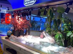 -乔哥铭洋海鲜自助(皇城恒隆广场店)