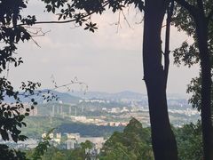 -火炉山森林公园