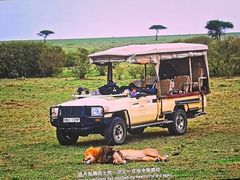 -罗红摄影艺术馆