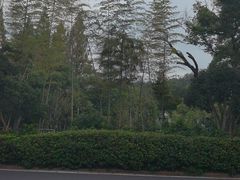 -杭州花家山庄