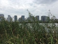 -尚贤河湿地