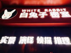 -白兔子密室(长寿路店)