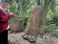 -上海佘山国家森林公园西佘山园