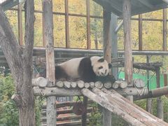 -鄂尔多斯野生动物园