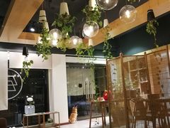 -柴务处·柴犬主题狗咖