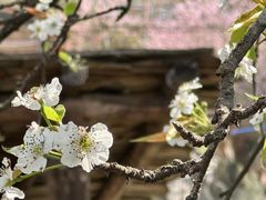 -肩颈管家·肩颈调理·经络养生(华景新城店)