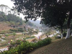 -东莞植物园