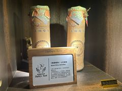 -雪灵魔法世界SHELLY’S TAROT(大良桂畔里店)