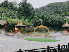 -西双版纳原始森林公园