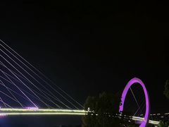 -南京眼步行桥