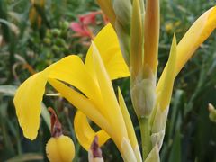 -苏州河梦清园环保主题公园