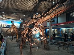 -国家自然博物馆