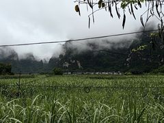 -明仕田园