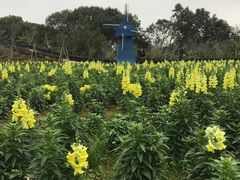 -广州市流溪河国家森林公园