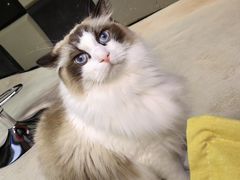 -零纪元VR体验馆·桌游(黄浦店)