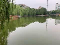 -莲湖公园