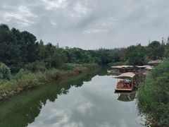 -上海长兴岛郊野公园