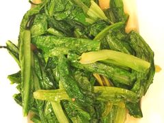 油麦菜-楼兰印象(朝外店)
