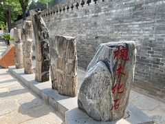 -大槐树寻根祭祖园